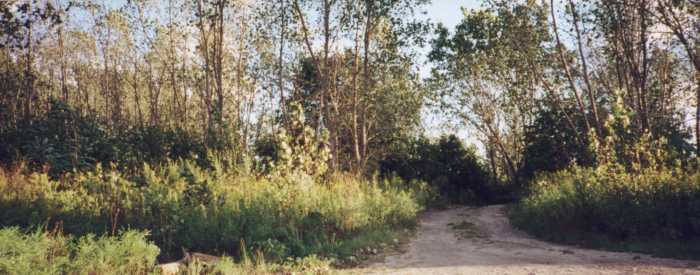 Whiskey Island photo