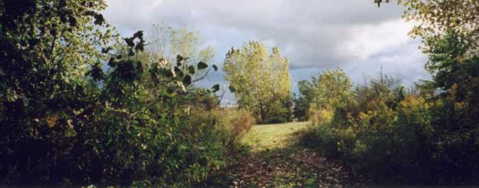 Whiskey Island photo
